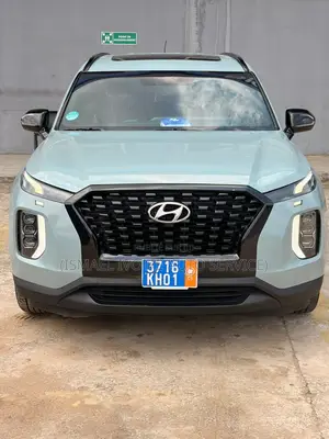 Hyundai Palissade 2021 Gris