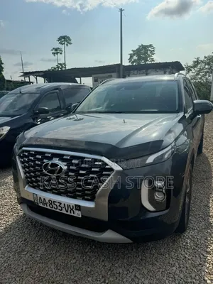 Hyundai Palissade Calligraphy 2021 Gris