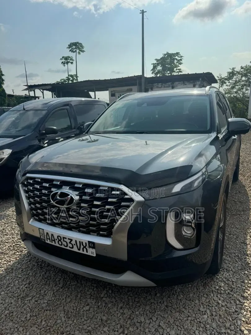 Hyundai Palissade Calligraphy 2021 Gris