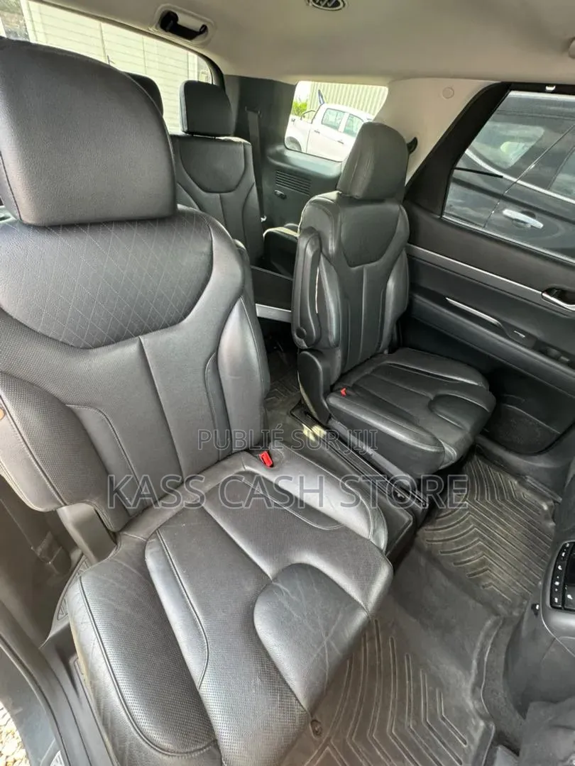 Hyundai Palissade Calligraphy 2021 Gris