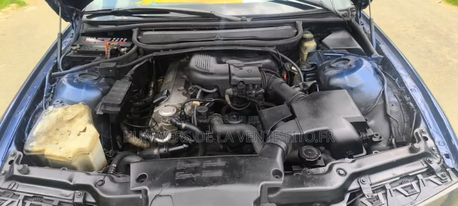 BMW 3 Series 318i RWD 2004 Bleu