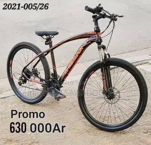 Vélo Pour Homme