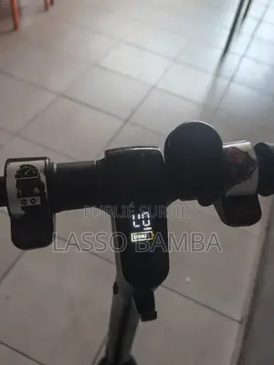Segway Ninebot Max G20