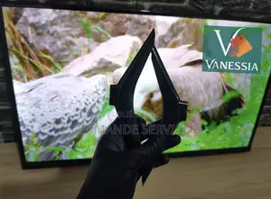 Télévision