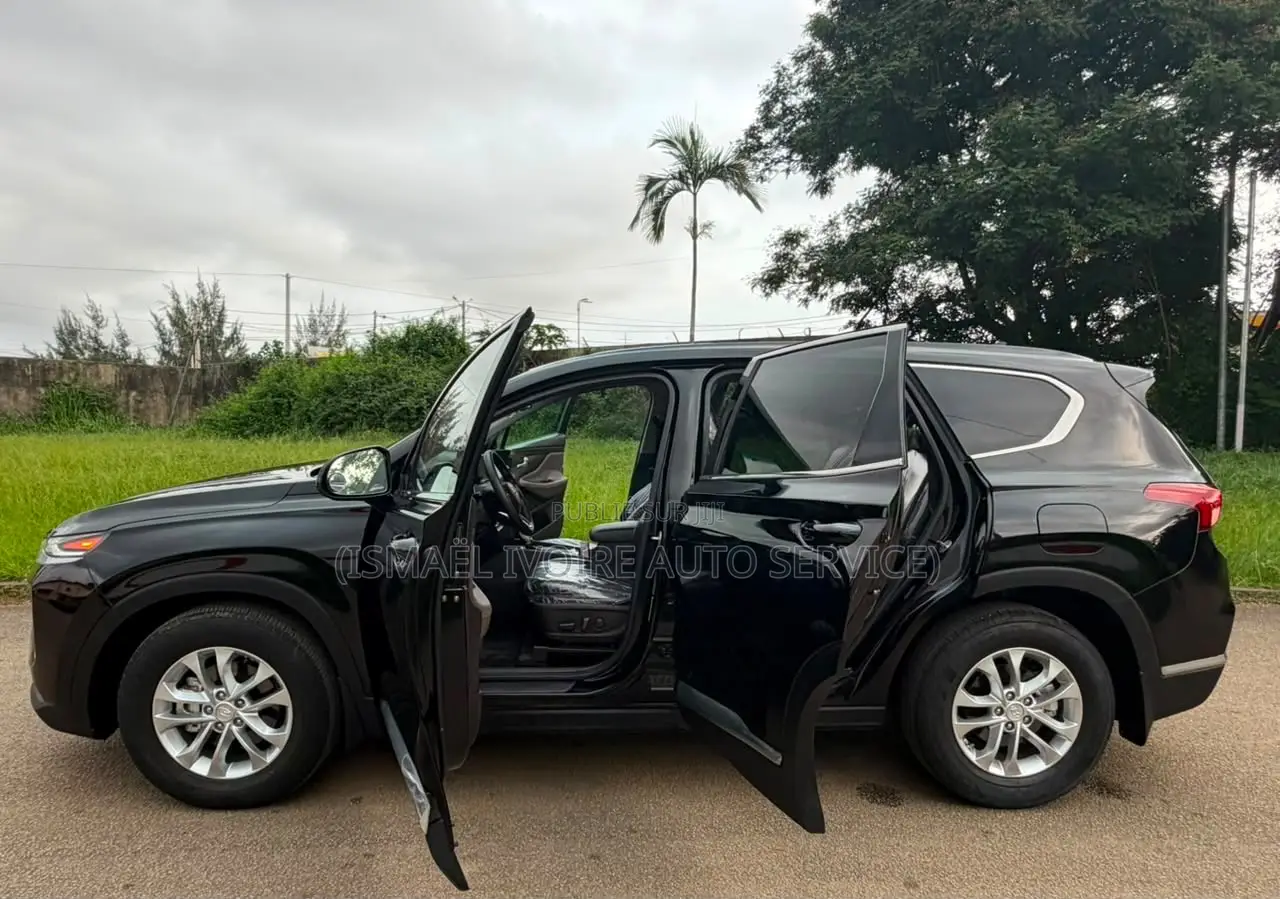 Hyundai Santa Fe 2020 Noir