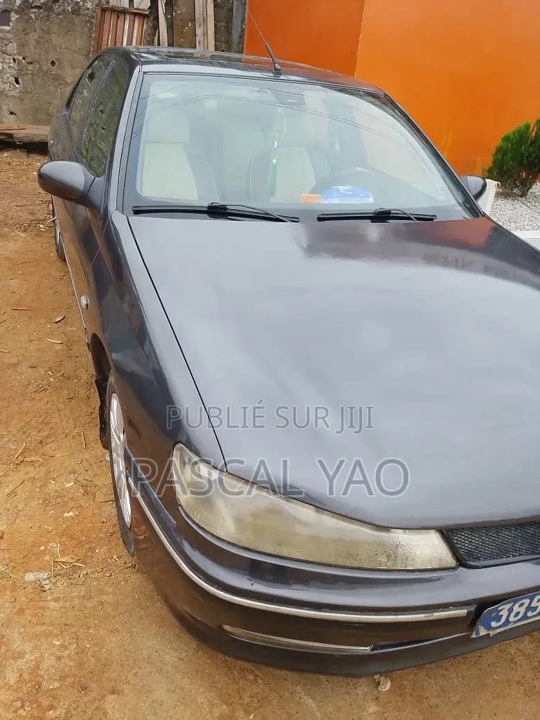Peugeot 406 2002 Gris
