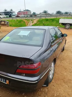 Peugeot 406 2002 Gris