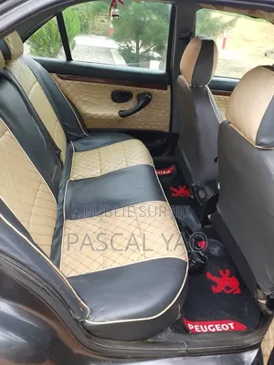 Peugeot 406 2002 Gris