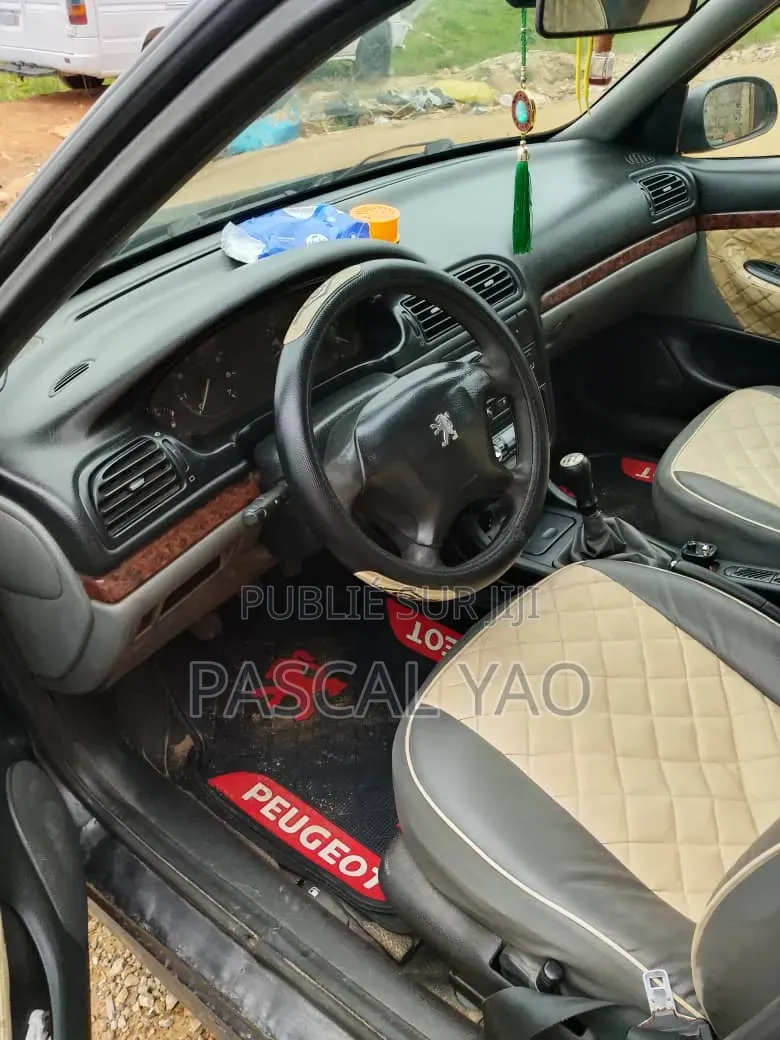 Peugeot 406 2002 Gris