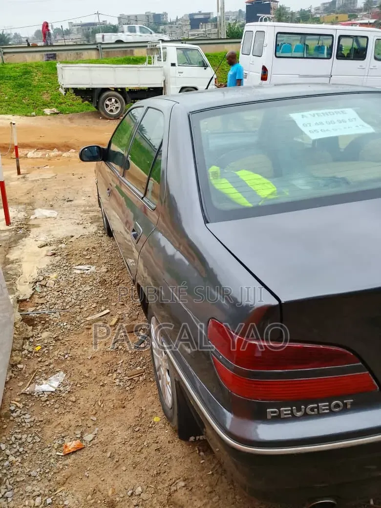 Peugeot 406 2002 Gris