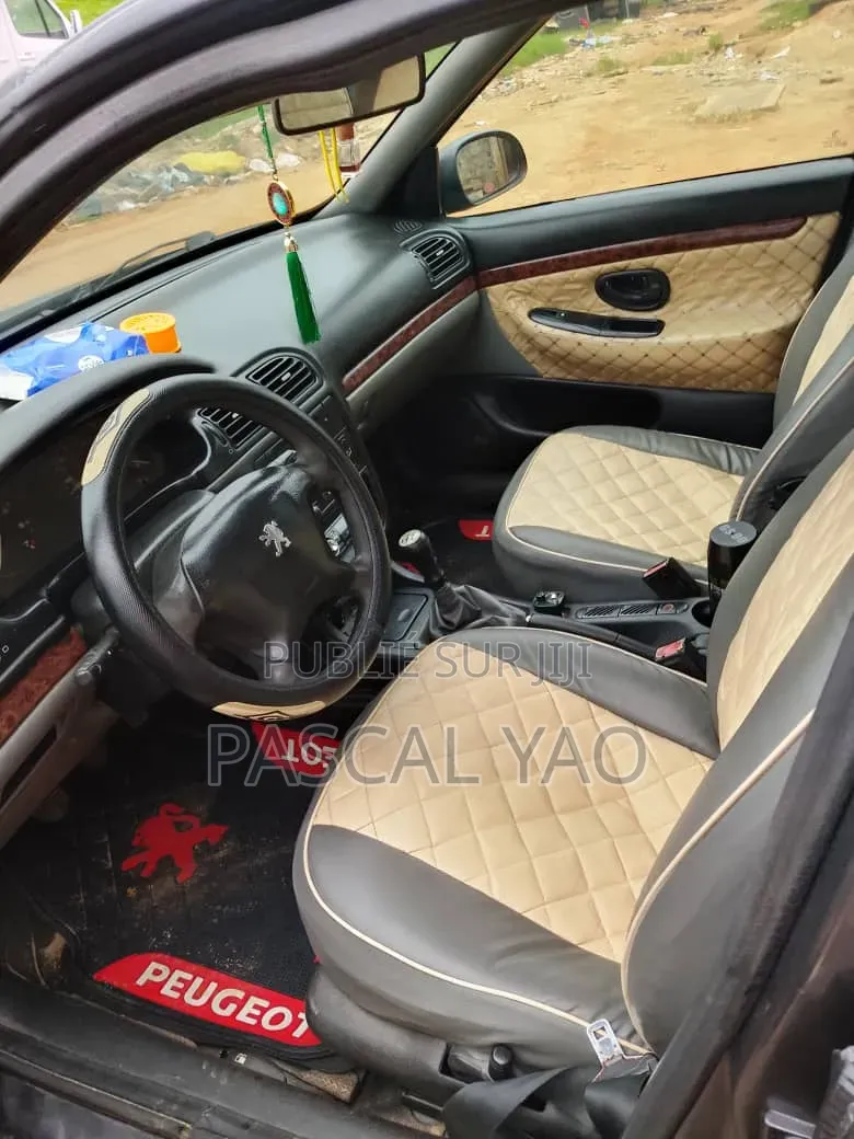 Peugeot 406 2002 Gris