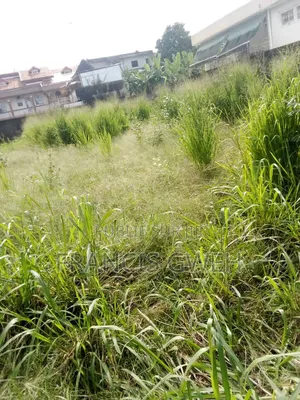 Terrain en Location