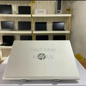 Nouveau HP ProBook 455 G5 16GB AMD Ryzen 7 HDD 256GB