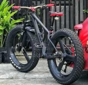 Vélo Électrique