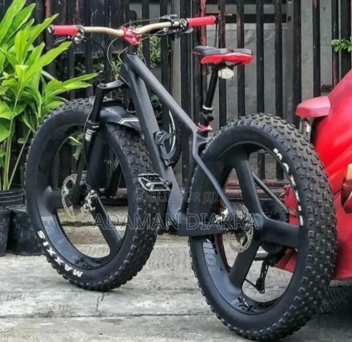 Vélo Électrique