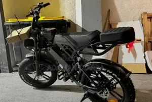 Vélo Électrique