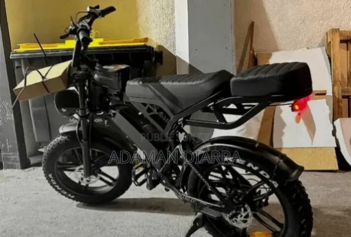 Vélo Électrique