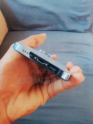 Nouveau Apple iPhone 13 Pro Max 256 GB Bleu