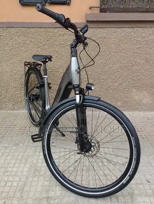 Vélo Électrique Bosch