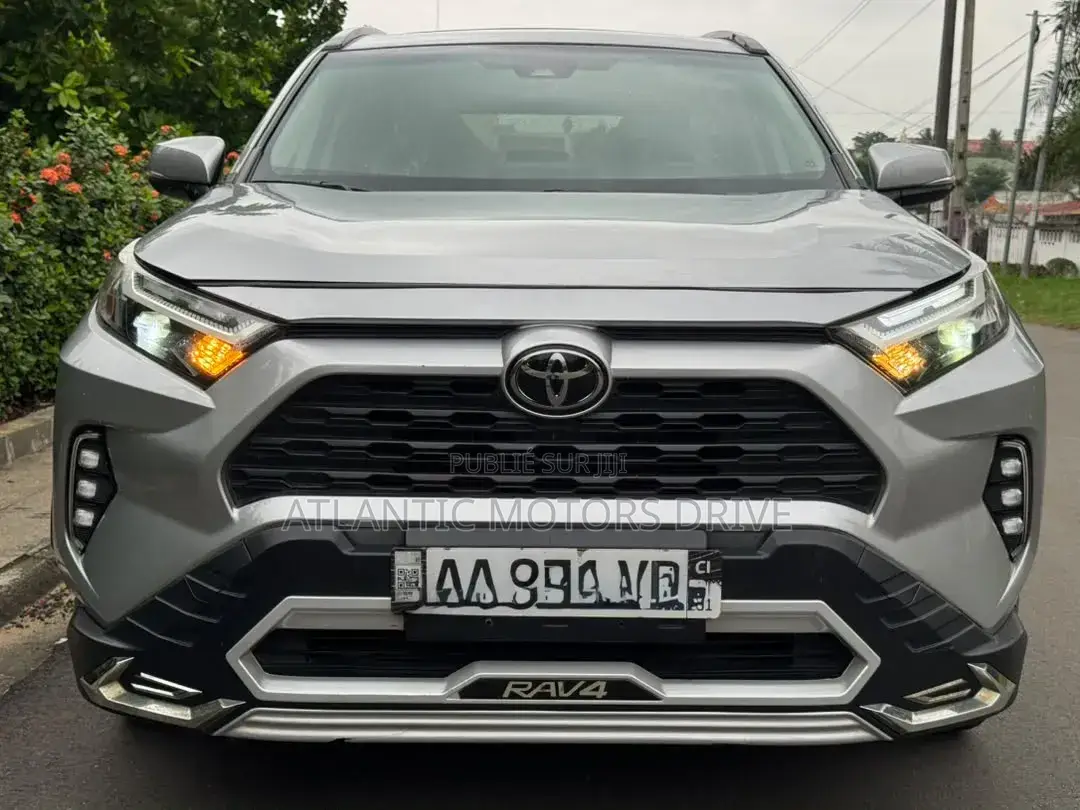 Toyota RAV4 2005 Gris