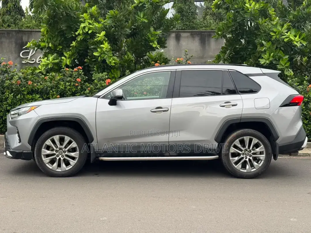 Toyota RAV4 2005 Gris