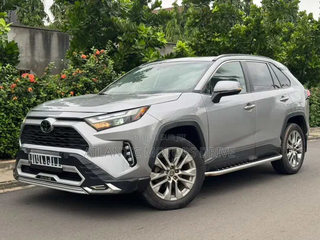 Toyota RAV4 2005 Gris