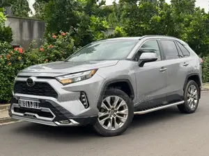 Toyota RAV4 2005 Gris