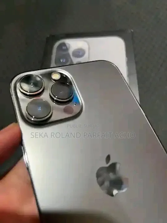 Nouveau Apple iPhone 13 Pro Max 256 GB Gris
