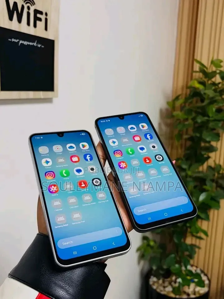 Samsung Galaxy A17 5G 256 GB Autre