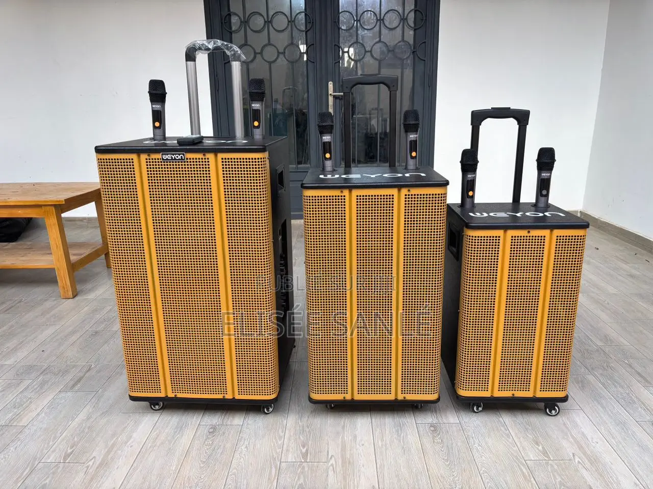 Haut Parleur - Avec 2 Micro 18000w, 15000w, 12000w