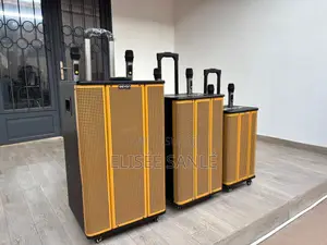 Haut Parleur - Avec 2 Micro 18000w, 15000w, 12000w