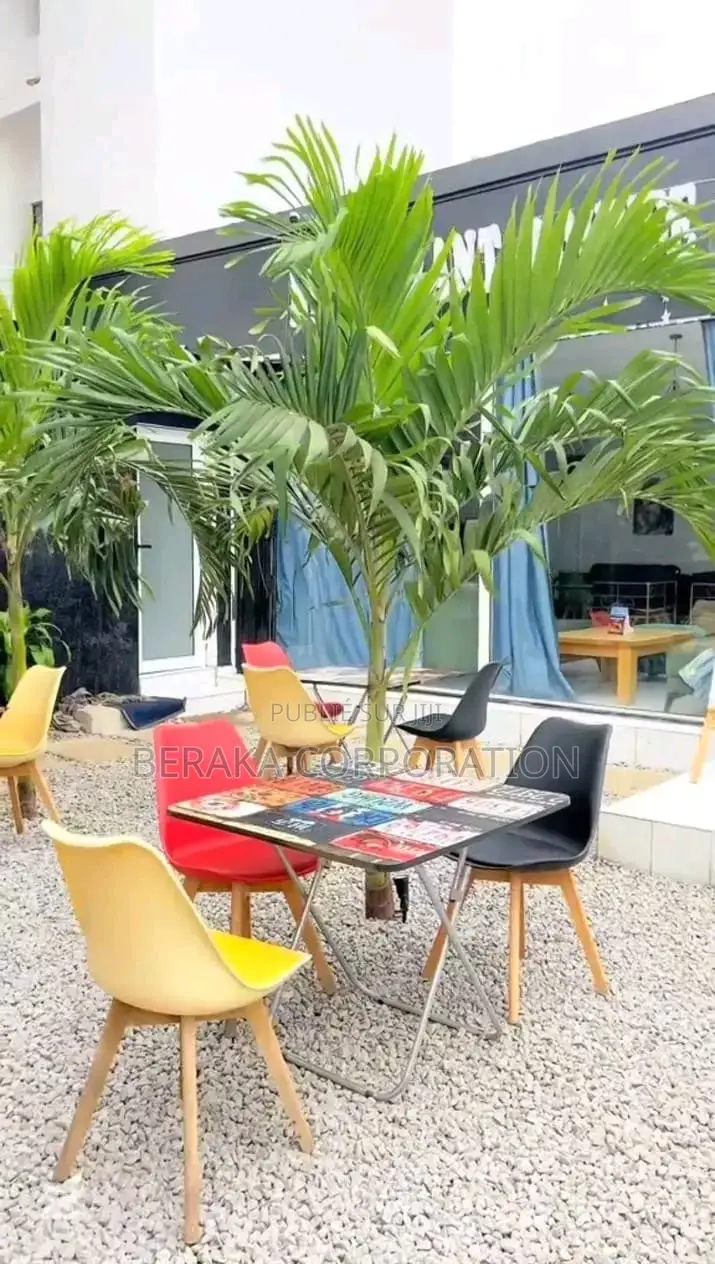 Location Lavage Auto + Restaurant Lavage Auto + Restaurant,