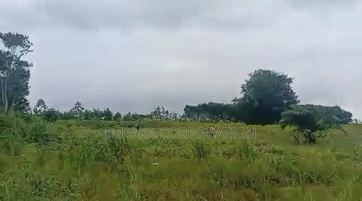 3 Lots De 400m2 en Vente À Songon Godoumer Acec Titre Doncier