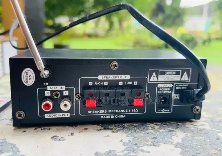 2Le BT-699D Est Un Amplificateur Audio Stéréo Numérique Compacte