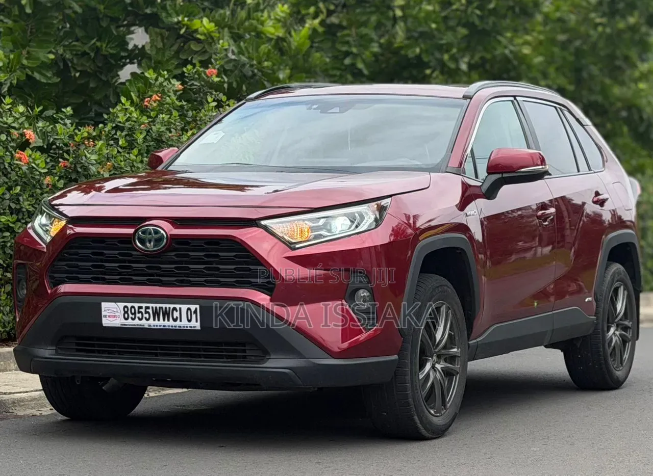 Toyota RAV4 2021 Rouge