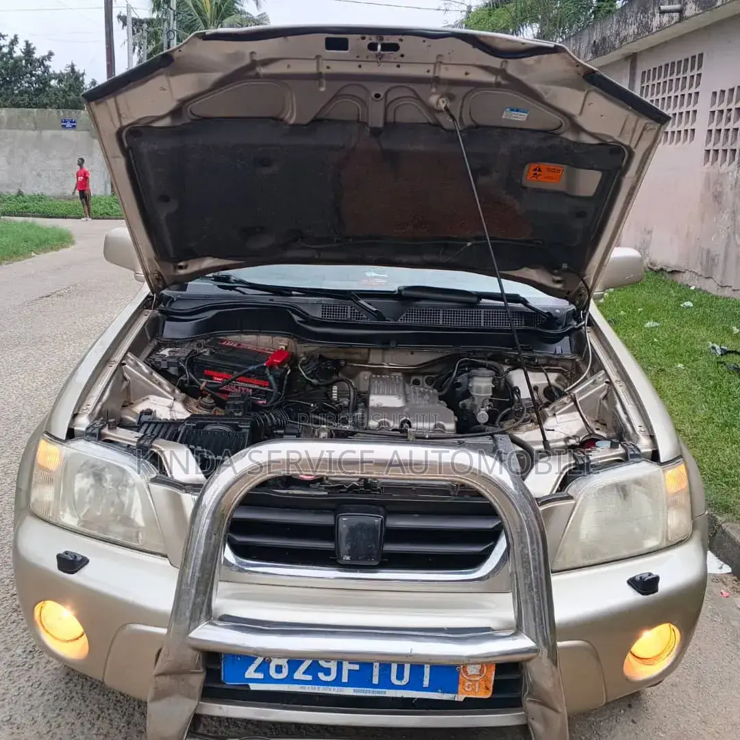 Honda CR-V 2003 Gris