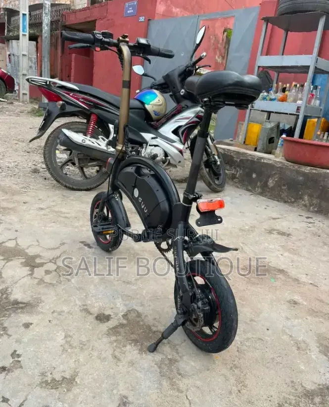 Vélo Électrique