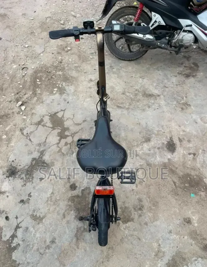 Vélo Électrique