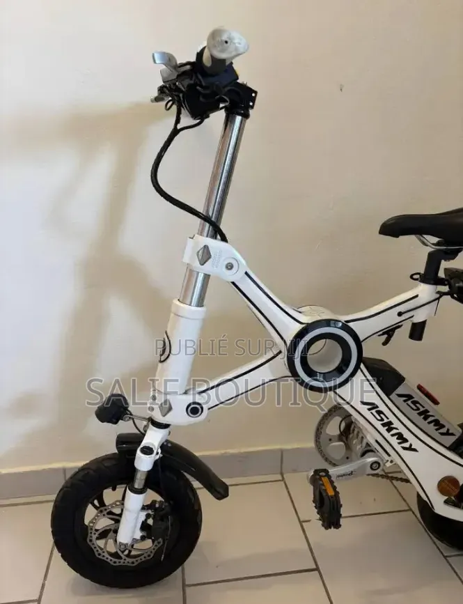 Vélo Électrique