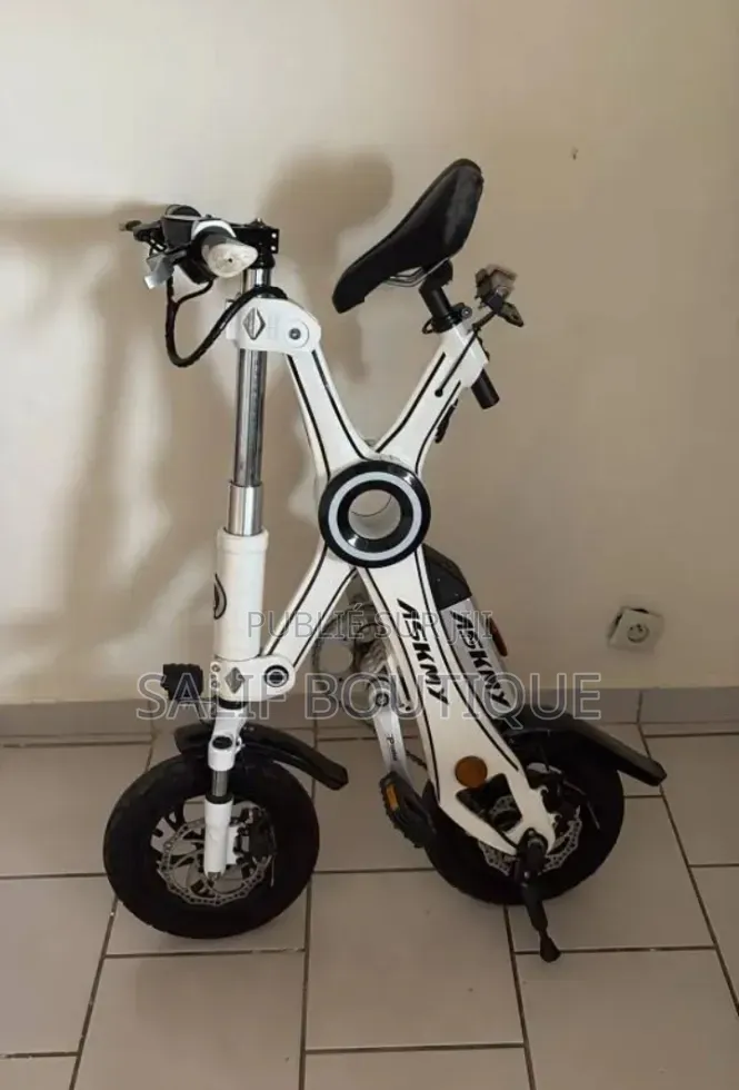 Vélo Électrique