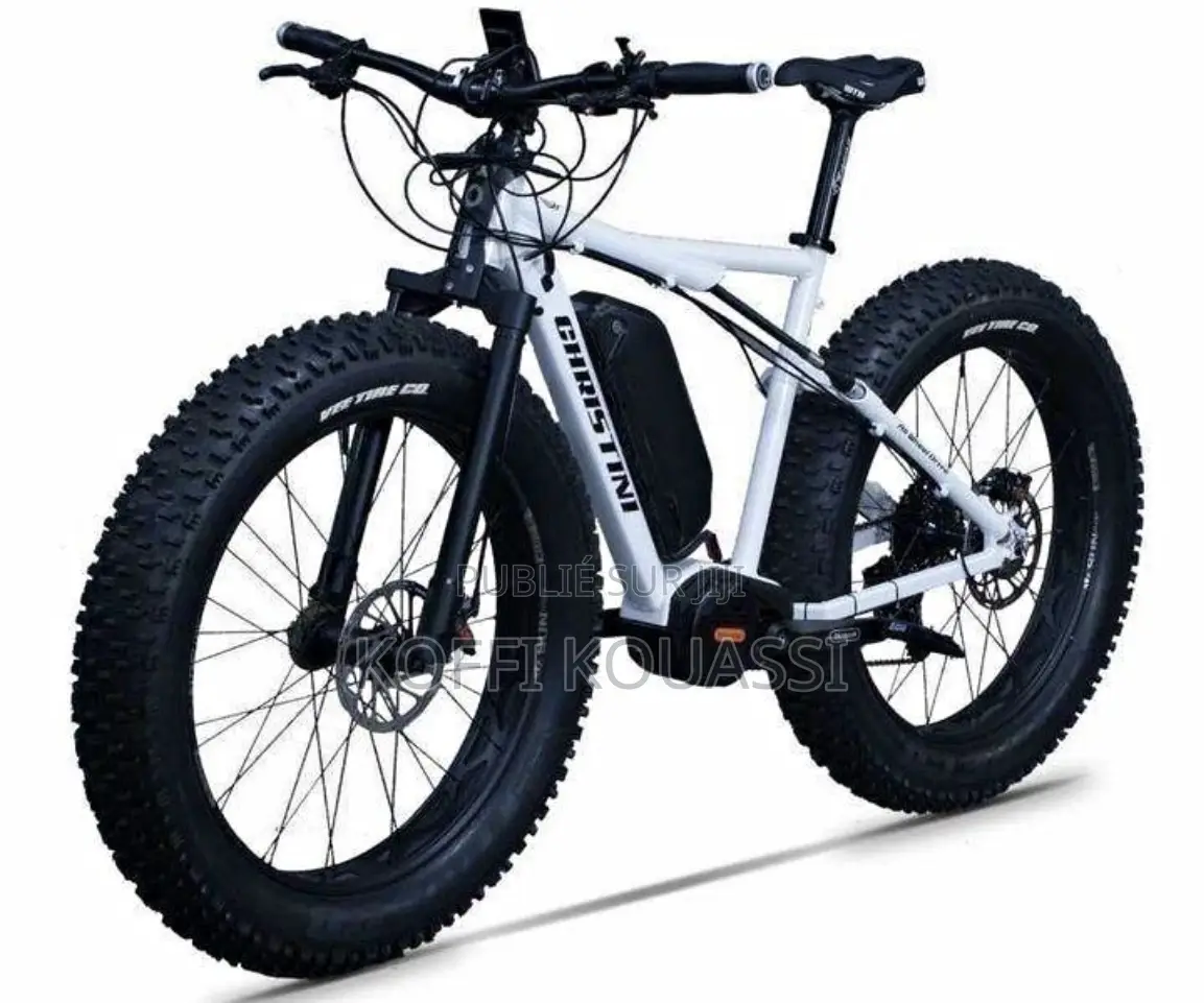 Vélo Électrique