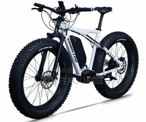 Vélo Électrique