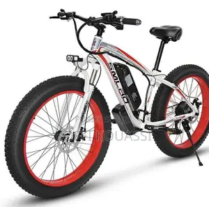 Vélo Électrique