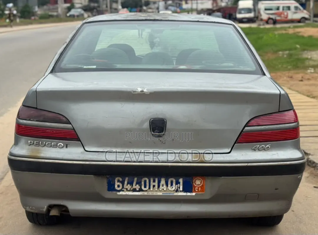 Peugeot 406 2000 Gris