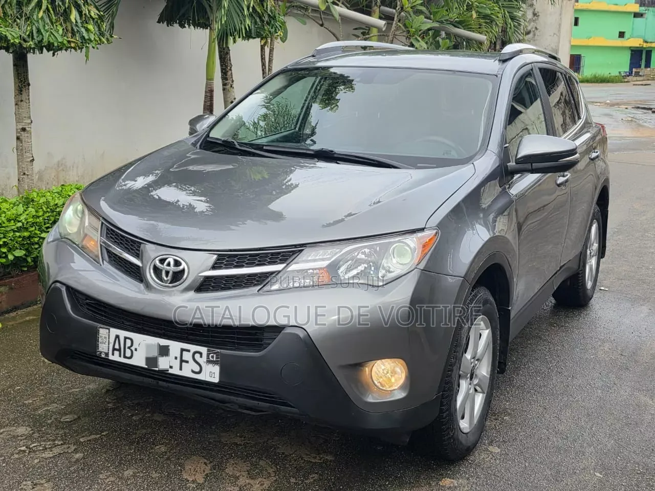 Toyota RAV4 2015 Gris
