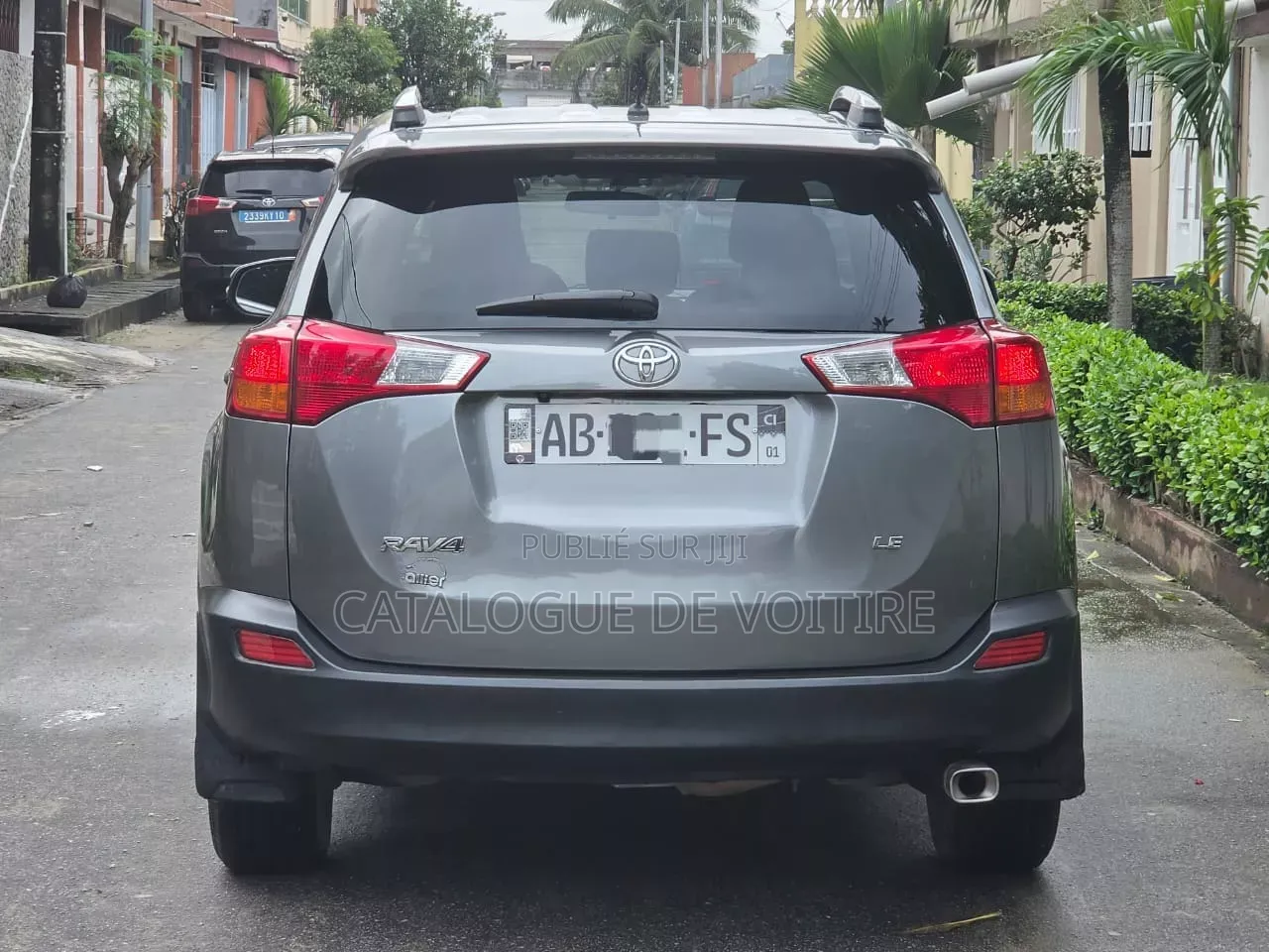 Toyota RAV4 2015 Gris