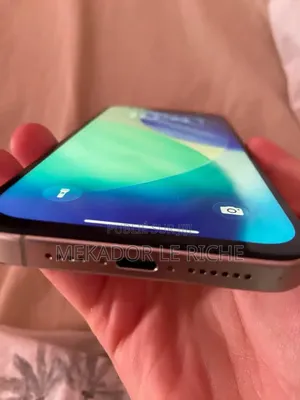Nouveau Apple iPhone 15 Pro Max 256 GB Argenté