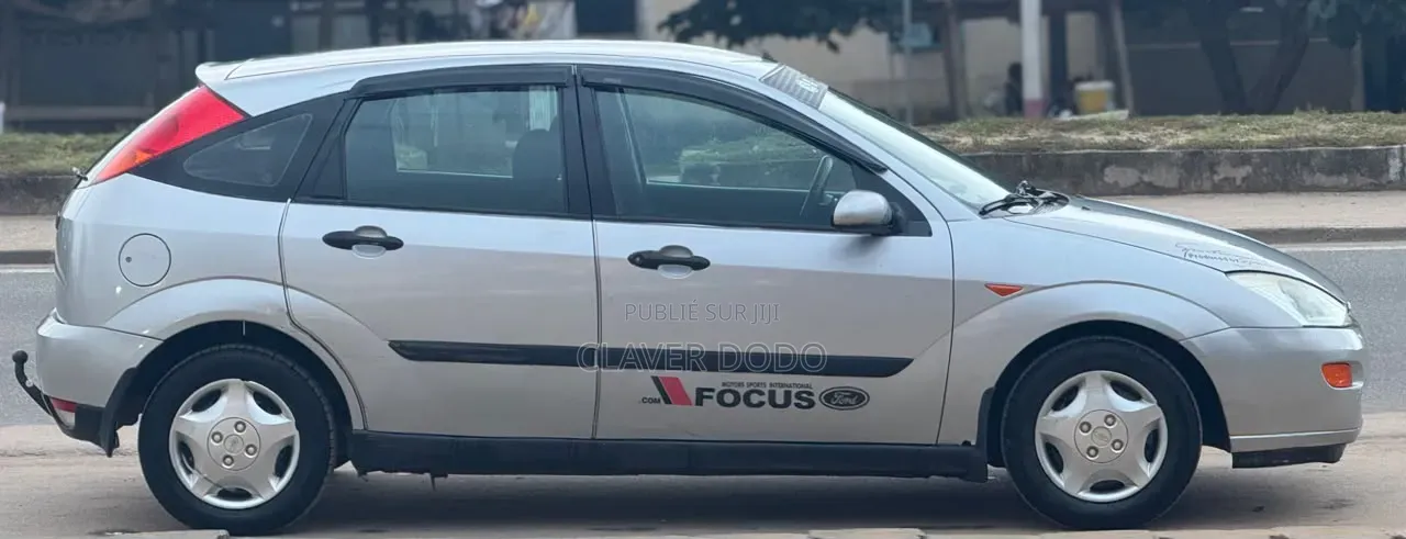 Ford Focus 2003 Gris