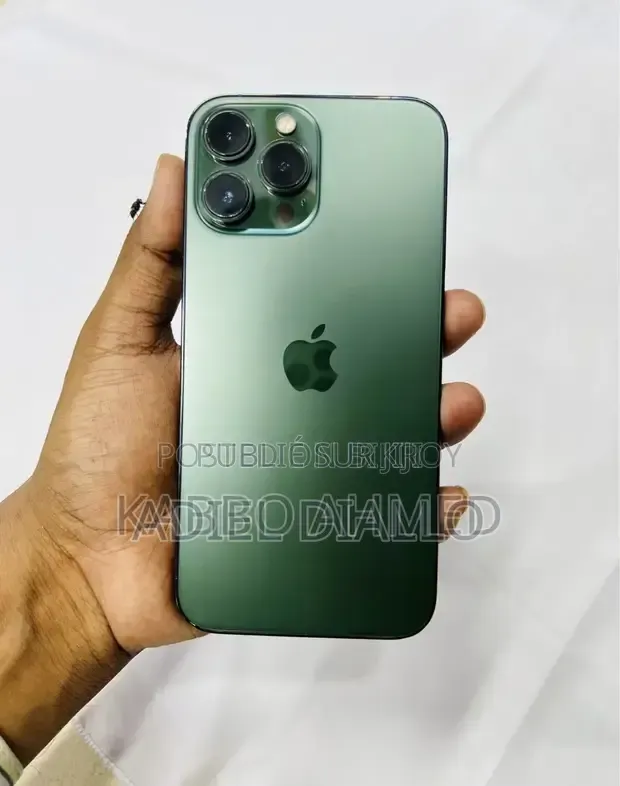 Nouveau Apple iPhone 13 256 GB Gris
