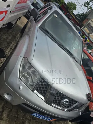 Nissan Pathfinder 2005 Gris
